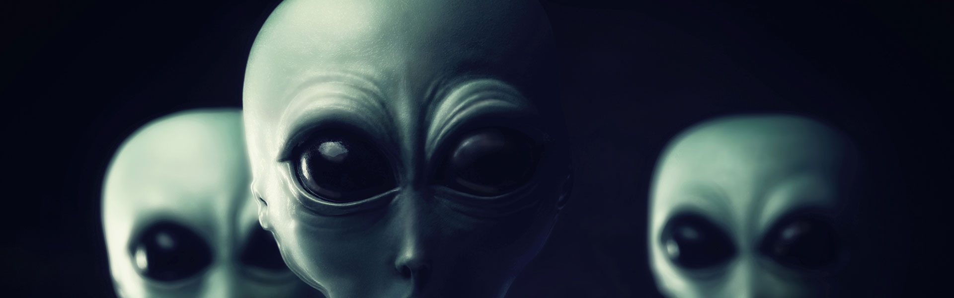 Anlita konsult - Projektledare - Systemutvecklare | Berger Interactive